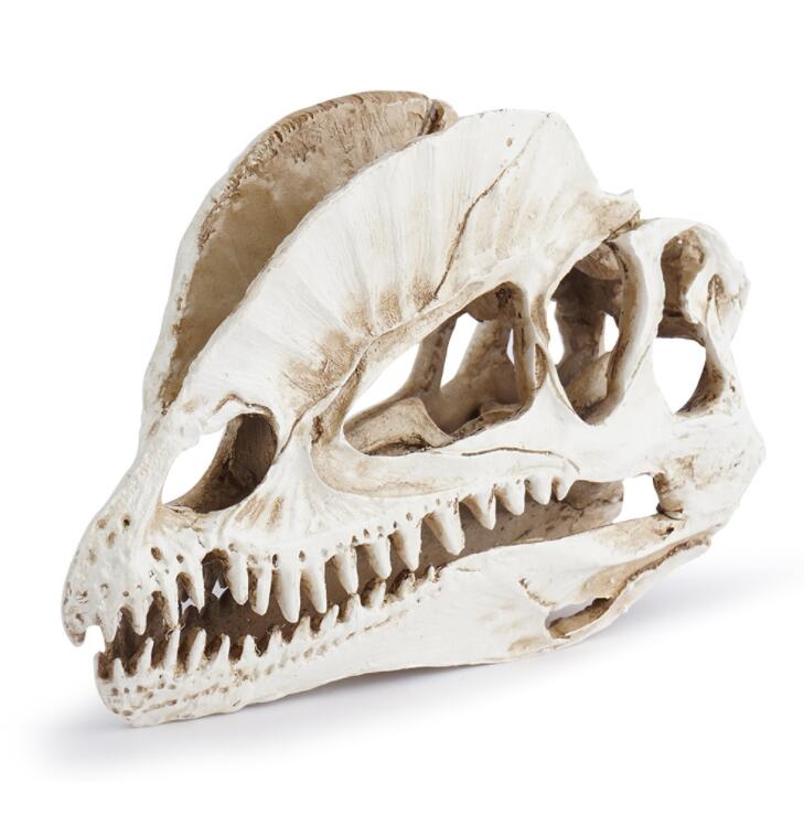 Home Office Gear - Dilophosaurus Skeleton Model Resin Home Office