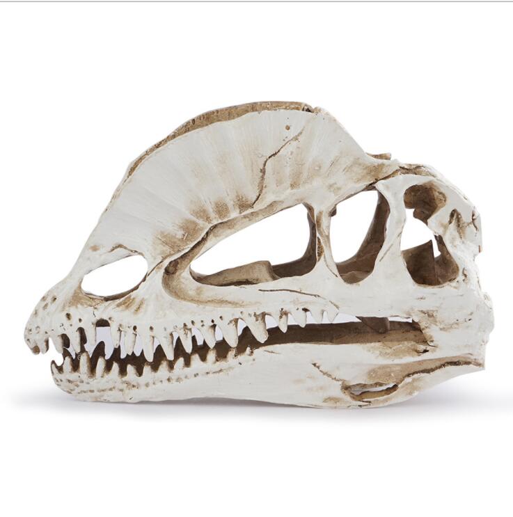 Dilophosaurus Skeleton Model R - Home Office Gear 评论和价格