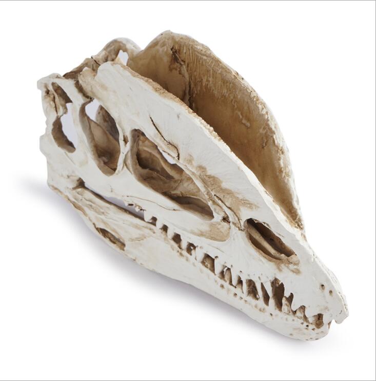 Dilophosaurus Skeleton Model R - Home Office Gear 评论和价格