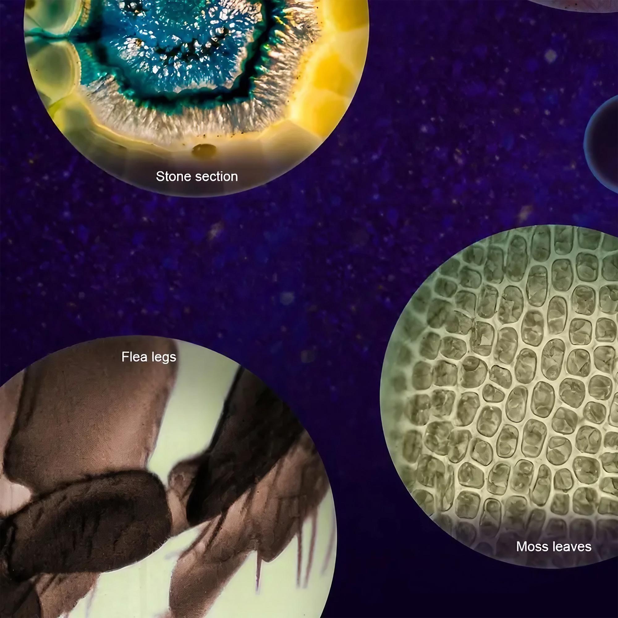 Kids Microscope Pocket Microsc - Zoom Lighting Kit 评论和价格